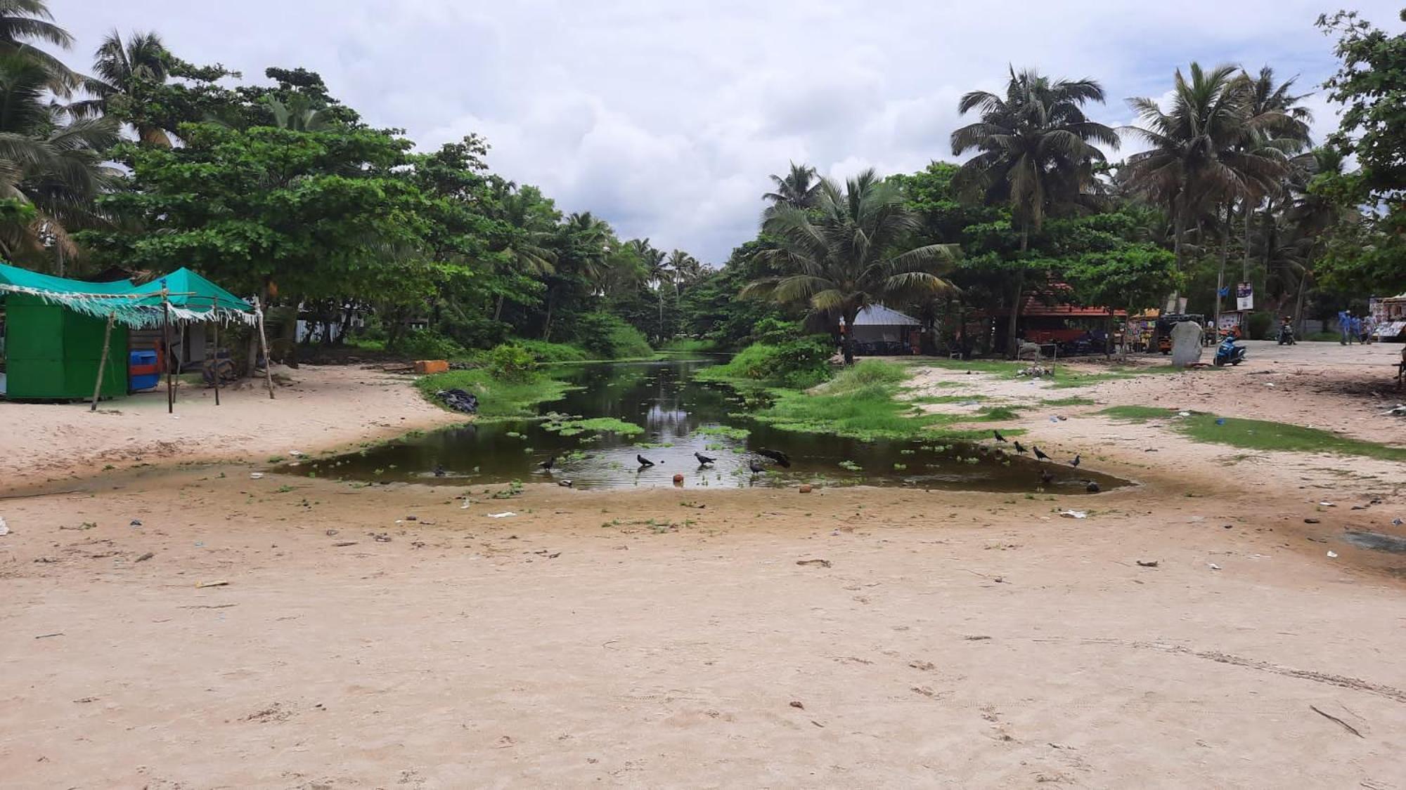 Marari La Rose Beach Homestay Mararikulam Exterior foto